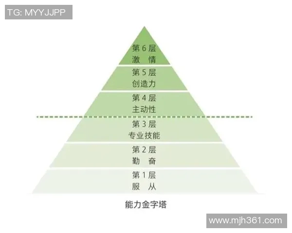 上海足球队团队协作的成功之道与战术分析探讨